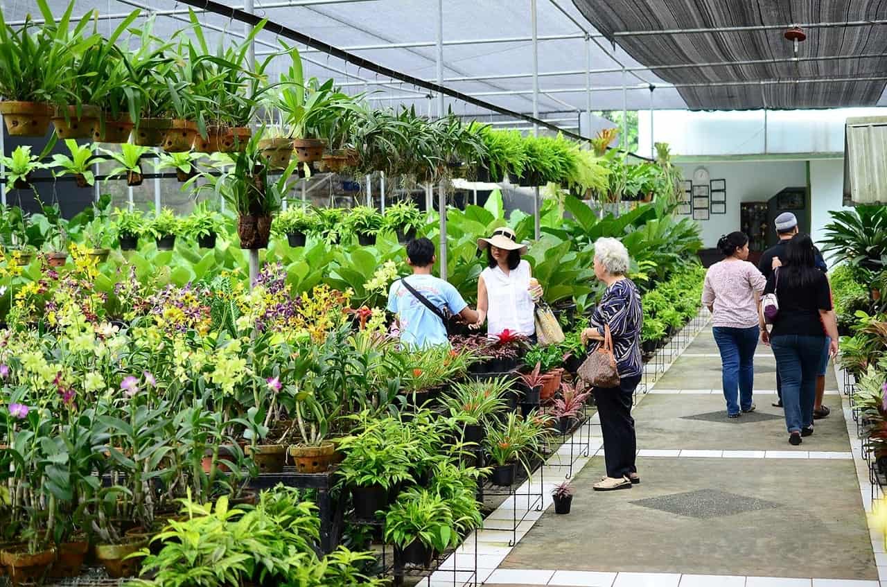 Taman Anggrek Ragunan (TAR)